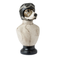 Busto de cão aviador